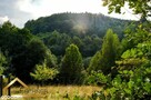 14014m2, w spokojnej części Sosnówki, widok na las - 2
