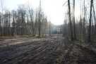 Działka rolna Kąck gm. Wiązowna - 3