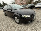 Audi A3 Lift 1.6Tdi 2012r Xenon Led Sportback Alufelgi Hak Climatronic - 3