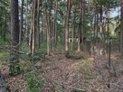 Działka budowlana Sokolniki-Las gm. Ozorków, - 3