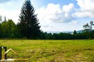 14014m2, w spokojnej części Sosnówki, widok na las - 6