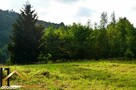 14014m2, w spokojnej części Sosnówki, widok na las - 9