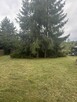 Sprzedam działkę - 5