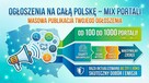 Tanie strony internetowe, od 500 zł. Gotowa nawet w kilka dni! - 4