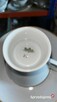Filiżanka z talerzykiem Rosenthal. Germany Form 2000. - 5