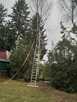Wycinka drzew, Oczyszczanie działki, Przewóz towarów przyczep - 3