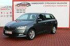 Škoda Fabia AMBITION 1.0 TSI 95KM Salon Polska Serwis ASO RAPORT SelectCar+ FV23% - 2