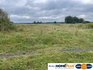 Działka rolna 6000 m² pod hodowlę i uprawy