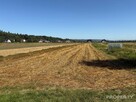Działka inwestycyjna Podegrodzie - 4