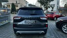 Ford Kuga 1.5 AWD Ecoboost 180 Key Less Automat - raty od 1299PLN - 5