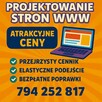 Tanie strony internetowe, od 500 zł. Gotowa nawet w kilka dni! - 5
