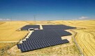 Sprzedam elektrownię fotowoltaiczną/park solarny FEZ 5 MW dz - 1