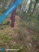 Ruda koło Radzymina, działka, BEZPOŚREDNIO - 5