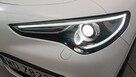 Alfa Romeo Stelvio 2.0 Turbo Veloce Q4! Z polskiego salonu! Faktura VAT! - 14