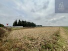 Działka rolna Łęg Tarnowski gm. Żabno - 2