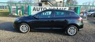 Renault Megane Krajowy, drugi właściciel. - 7