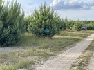 Działka budowlana Karczewko gm. Kiszkowo, Karczewko - 3