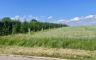 Działki 0,63 ha budowlano-rolne w Ignacowie - 2