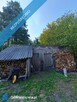 Dom z siedliskiem i ziemią rolną - 6