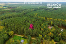 Działka budowlana w lesie 3300 m² - 14