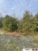 Działka 2050 m² pod zabudowę letniskową. - 2