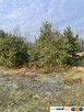 Działka 1000 m² pod zabudowę letniskową. - 2