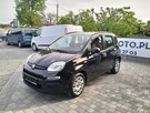 Fiat Panda 1.2 Benzyna 70 KM Oryginalny Przebieg Serwisowny - 3
