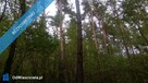 Na sprzedaż las – Borkowo Kościelne, Sierpc - 3