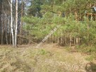 ⭐⭐⭐⭐2500 m2 urokliwa działka przy lesie z MPZP⭐⭐⭐⭐ - 8