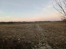 Działka Rolno Budowlana - 2
