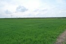 Atrakcyjna działka usługowa przy obwodnicy Lublina - 2