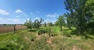 Piękna działka siedliskowa (MR) Gutanów - 2