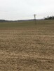Działka 1.84ha Tomaszowice- Kolonia - 8