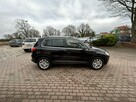 Volkswagen Tiguan 1.4 benzyna 150 KM bezwypadkowy szklany dach - 6