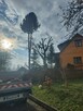 Wycinka i pielęgnacja drzew alpinistycznie rębak usługi ogro - 3