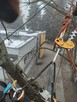 Wycinka i pielęgnacja drzew trudnych alpinistycznie rębaługi - 8