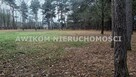 Działka leśna Puszcza Mariańska - 2