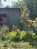 Ogród dzialkowy - 1