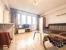 Pet Friendly | Prądnicka | 1pok | ENG - 2