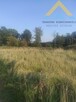 Działka z potencjałem Pławienko 2,85 ha,120 tys.! - 2