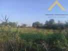 Działka z potencjałem Pławienko 2,85 ha,120 tys.! - 7