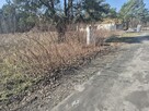 Działka budowlana Duchnów gm. Wiązowna - 3