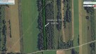 Dwie działki: rolna i leśna - Sojczyn Grądowy - 3