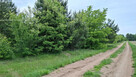 Działka inwestycyjna Myrcha gm. Wiśniew, - 7