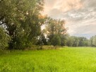 Nieruchomość 16 650 m2 działki budowlane i rolna - 10