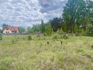 Duża piekna działka przy Puszczy Słupeckiej - 7