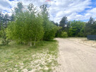 Duża piekna działka przy Puszczy Słupeckiej - 8