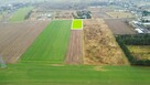 Bobrowiczki - działka mieszkaniowo-usługowa - 4