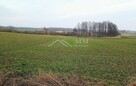 Dom wolnostojący do remontu - Warmia - 5