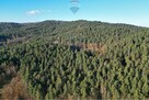 DZIAŁKA LEŚNA - GRATKA DLA INWESTORA - 4